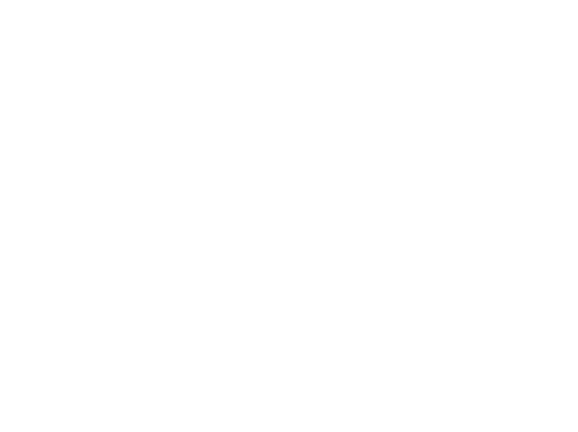 APLO Logo